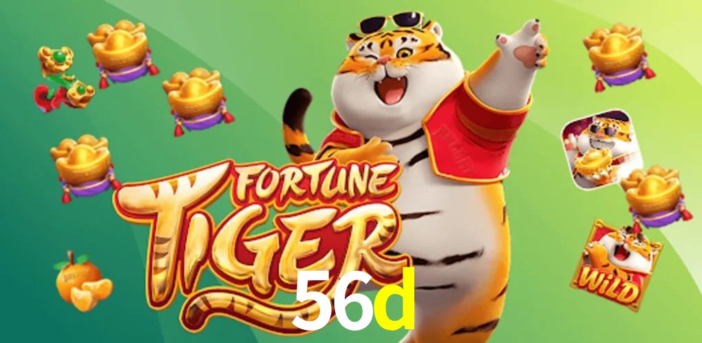 Experiência VIP 56d